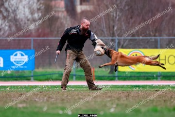 M_IMG_4468.jpg