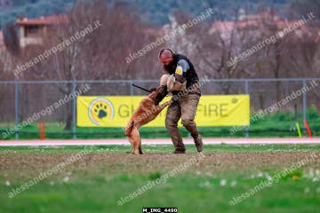 M_IMG_4490.jpg