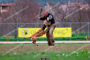 M_IMG_4494.jpg