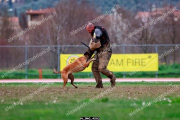 M_IMG_4502.jpg
