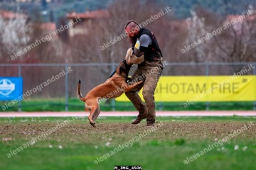 M_IMG_4506.jpg