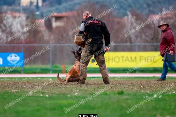 M_IMG_4523.jpg
