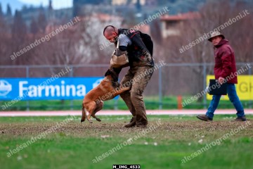M_IMG_4533.jpg