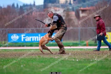 M_IMG_4538.jpg