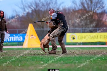 M_IMG_4551.jpg