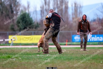 M_IMG_4559.jpg