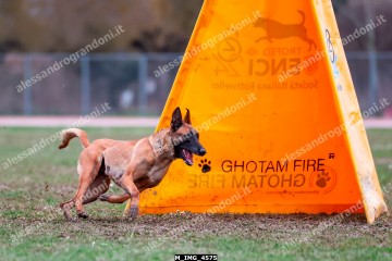 M_IMG_4575.jpg