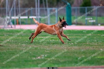 M_IMG_4582.jpg
