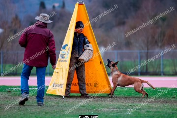 M_IMG_4589.jpg