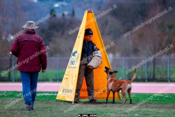 M_IMG_4596.jpg