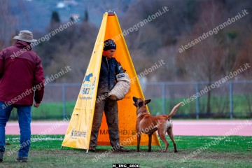 M_IMG_4600.jpg
