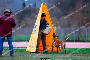 M_IMG_4608.jpg