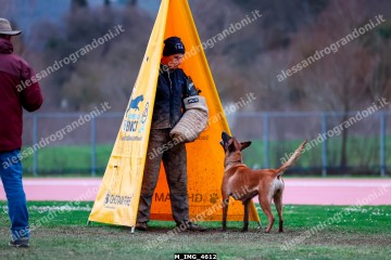 M_IMG_4612.jpg