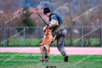 M_IMG_4614.jpg