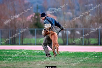 M_IMG_4616.jpg