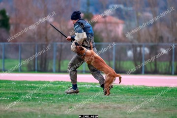 M_IMG_4619.jpg