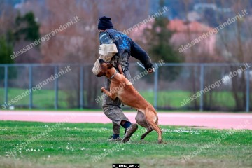 M_IMG_4622.jpg