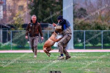 M_IMG_4627.jpg