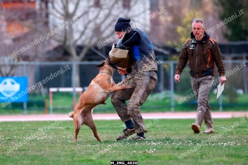 M_IMG_4630.jpg