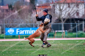 M_IMG_4634.jpg