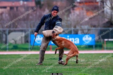 M_IMG_4637.jpg