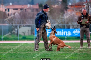 M_IMG_4645.jpg