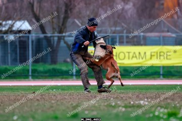 M_IMG_4652.jpg