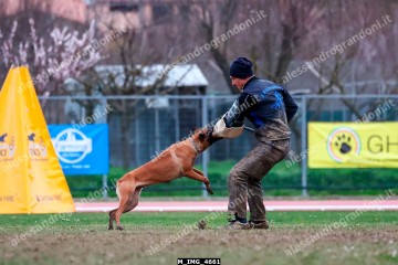M_IMG_4661.jpg