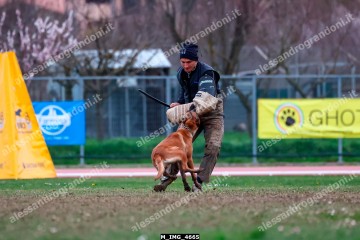 M_IMG_4665.jpg