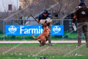 M_IMG_4669.jpg