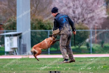 M_IMG_4675.jpg