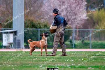 M_IMG_4679.jpg