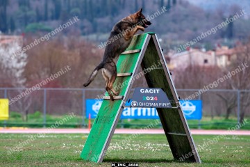 M_IMG_4688.jpg
