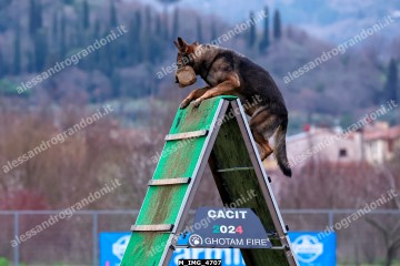 M_IMG_4707.jpg