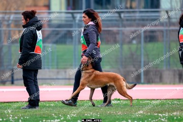 M_IMG_4753.jpg