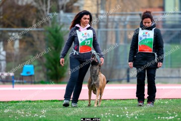 M_IMG_4756.jpg