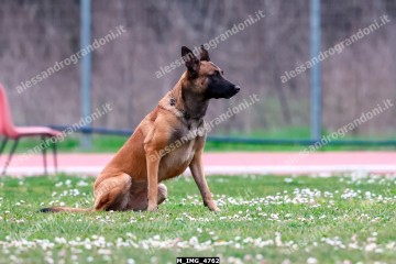 M_IMG_4762.jpg