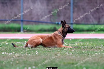 M_IMG_4764.jpg