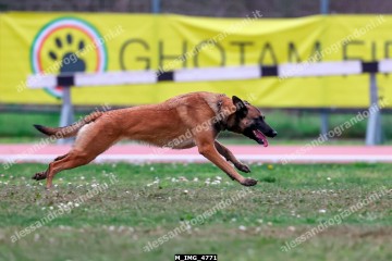 M_IMG_4771.jpg