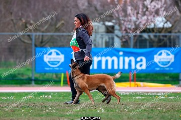 M_IMG_4781.jpg