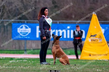 M_IMG_4798.jpg