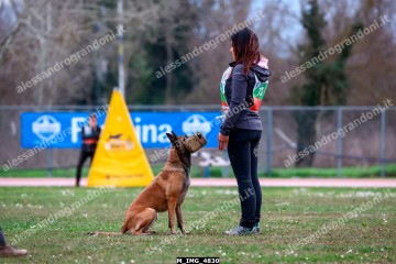 M_IMG_4830.jpg
