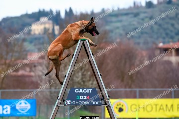 M_IMG_4838.jpg