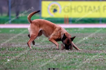 M_IMG_4850.jpg