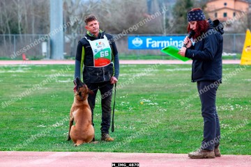 M_IMG_4870.jpg