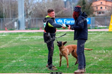 M_IMG_4872.jpg