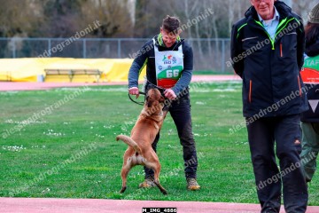 M_IMG_4886.jpg
