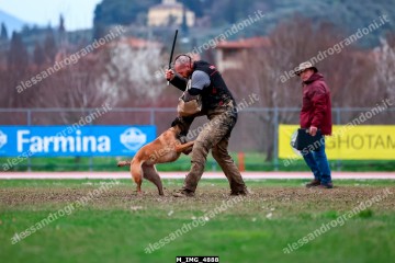 M_IMG_4888.jpg