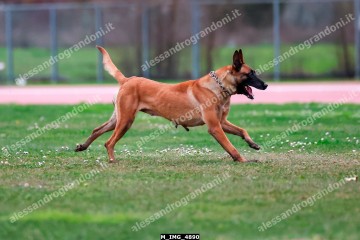 M_IMG_4890.jpg