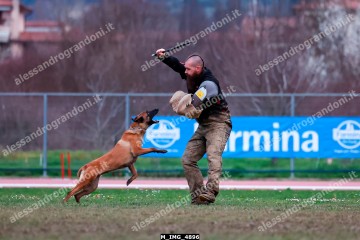 M_IMG_4896.jpg